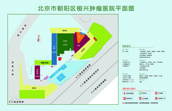 要操逼网址北京市朝阳区桓兴肿瘤医院平面图